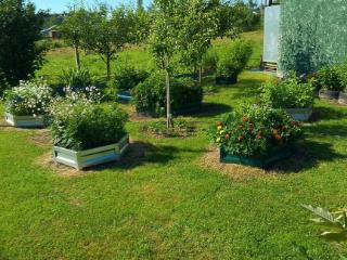  дом, 54 м², 25 соток