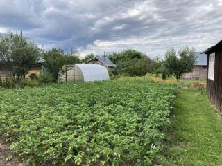 1-этажный дом, 36 м², 6 соток