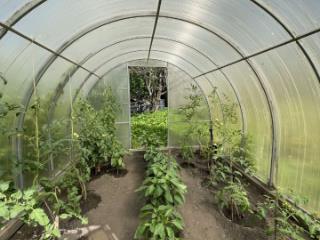 1-этажный дом, 30 м², 8 соток