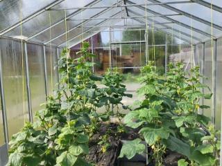  дом, 305 м², 15 соток