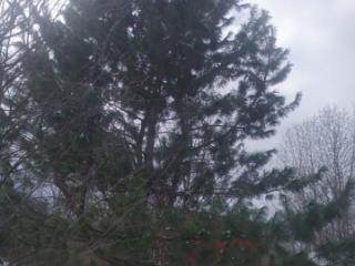 2-этажный дом, 33 м², 15 соток