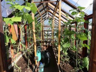 2-этажный дом, 40 м², 9 соток