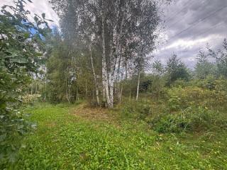 1-этажный дом, 47.1 м², 33 сотки