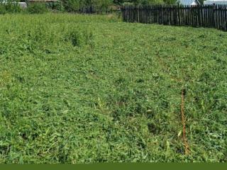  дом, 40 м², 12.5 соток