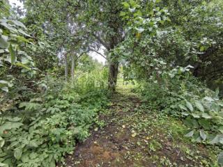 1-этажный дом, 40 м², 15 соток