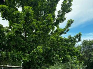 2-этажный дом, 109 м², 8 соток