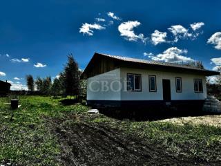 1-этажный дом, 100 м², 12 соток