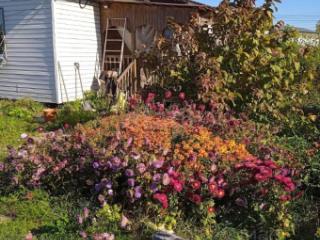 1-этажный дом, 31 м², 19.6 соток