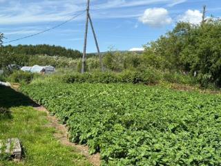  дом, 90 м², 10 соток