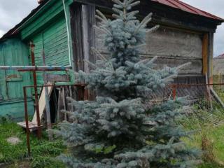  дом, 40 м², 29 соток