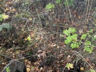 2-этажный дом, 40 м², 5.8 соток