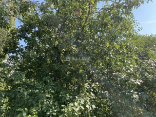 1-этажный дом, 74.1 м², 49 соток