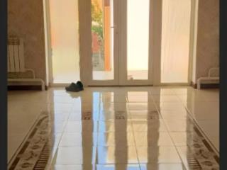 1-этажный дом, 16 м², 10 соток