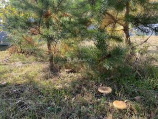 1-этажный дом, 74.2 м², 16.44 соток