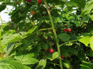 2-этажный дом, 100 м², 30 соток