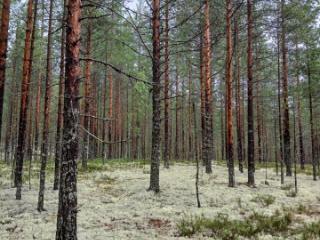 2-этажный дом, 110 м², 16 соток