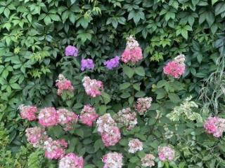 1-этажный дом, 23 м², 9 соток