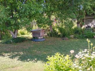  дом, 60 м², 50 соток