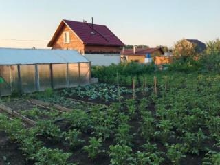 1-этажный дом, 19 м², 10 соток