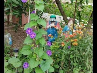  коттедж, 35 м², 6 соток