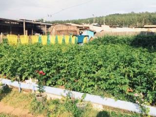  дом, 206 м², 11 соток