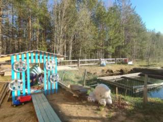 2-этажный дом, 70 м², 6.21 соток