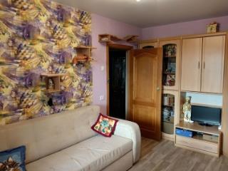 2-комн. квартира, 46.2 м², 5/5 этаж