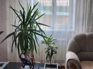 2-этажный дом, 100 м², 388 соток