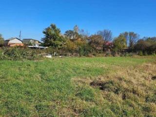  дом, 50 м², 104 сотки