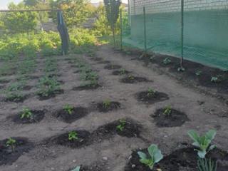 1-этажный дом, 150 м², 11 соток