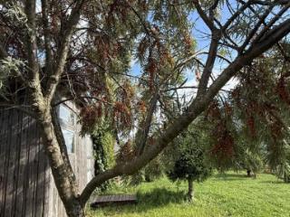 2-этажный дом, 183 м², 20 соток