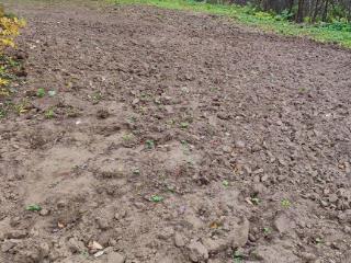  дом, 30 м², 11 соток