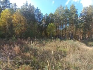 1-этажный дом, 20 м², 6 соток