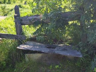  дом, 32.5 м², 20.2 соток