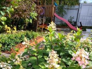 1-этажный дом, 19.7 м², 5.5 соток