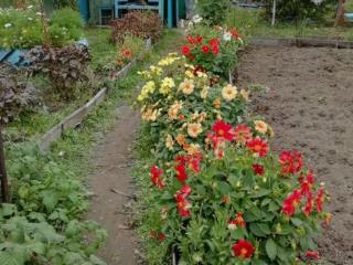  коттедж, 20 м², 6.3 соток