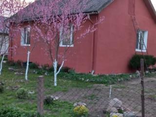 1-этажный дом, 56.4 м², 8.5 соток