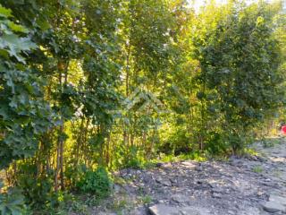 2-этажный дом, 133 м², 5 соток