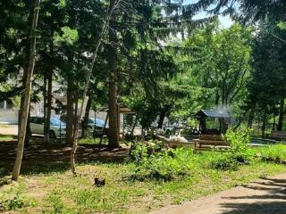 Студия, 22.5 м², 1/4 этаж