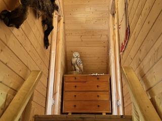 2-этажный дом, 62 м², 8 соток