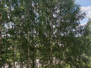 4-комн. квартира, 84.2 м², 3/5 этаж