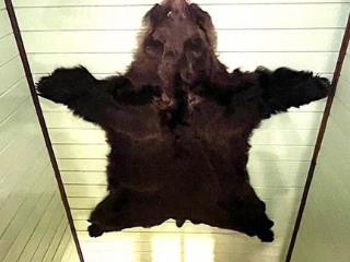  дом, 130 м², 15 соток