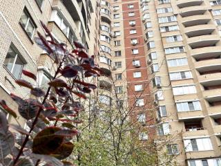 Студия, 18 м², 17/17 этаж