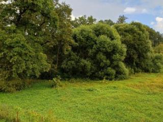 2-этажный дом, 100 м², 15 соток