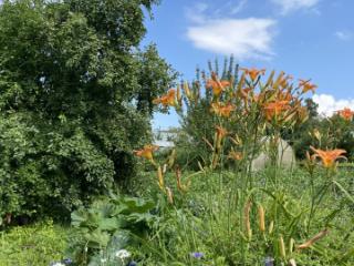 1-этажный дом, 30 м², 8 соток