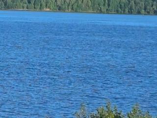 1-этажный дом, 280 м², 12 соток