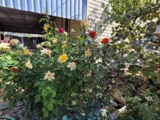 1-этажный дом, 107.4 м², 5.3 соток