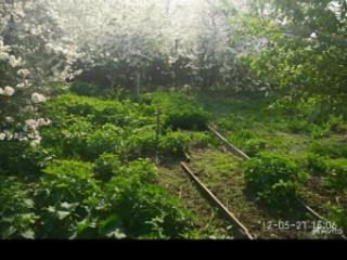 1-этажный дом, 42.6 м², 4.4 сотки