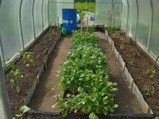 1-этажный дом, 101 м², 10 соток