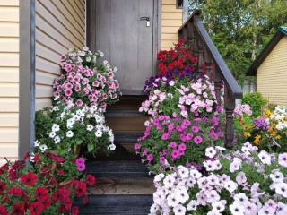  дом, 72 м², 9 соток